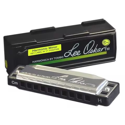 Tombo 1910 Diatonic Harmonica Harmonic Minor Lee Oskar 10 Holes Blues Harp Mouth Organ Armonica Professional Musical Instruments