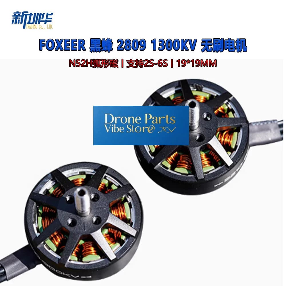 Drone Parts Foxeer Black Hornet 2809 Motor 1300KV 4 6S FPV Racing Drone Brushless For RC Quadcopter 3